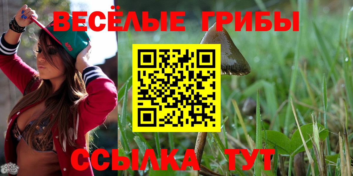 Галлюциногенные грибы MAGIC MUSHROOMS  Галлюциногенные грибы Psilocybe  Мыски  Вход с VPN 